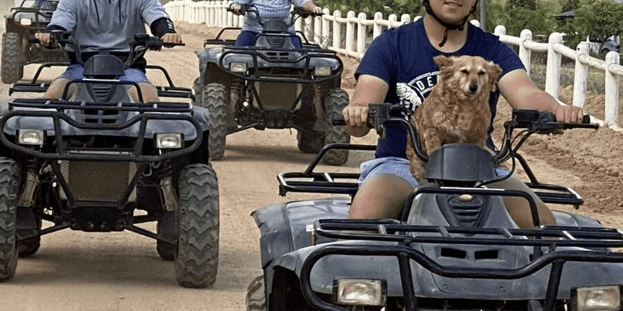 Vrede en Lust Wine Estate: 1H Quad Bike Trail - How To Fit The Ride Into A Franschhoek Day