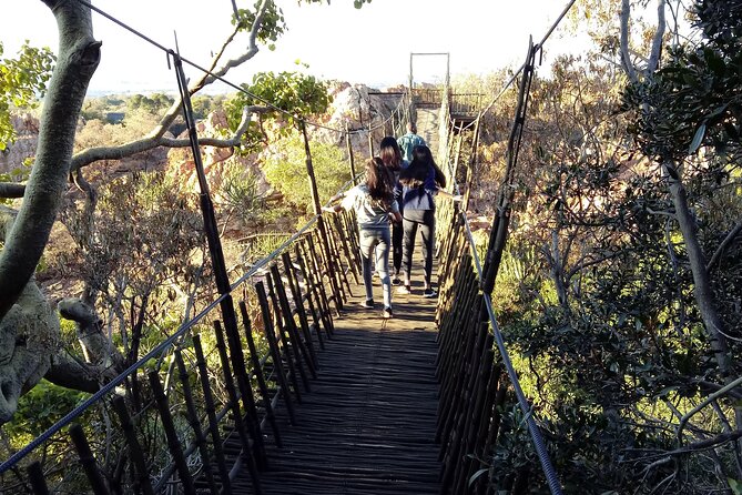Walk with Elephants Experience plus Monkey Forest Walk - What the private tour changes