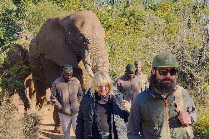 Walk with Elephants Experience plus Monkey Forest Walk - Who will enjoy this experience most