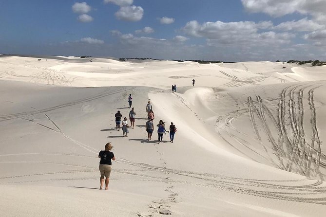 West Coast Day Trip from Cape Town - Key points at a glance