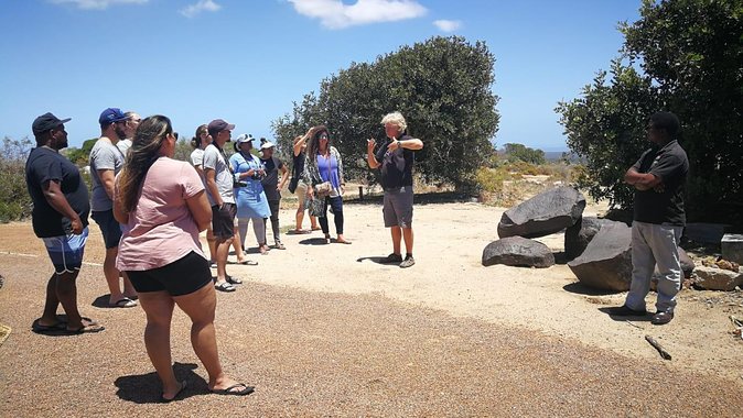 West Coast Day Trip from Cape Town - Is $121.21 good value?