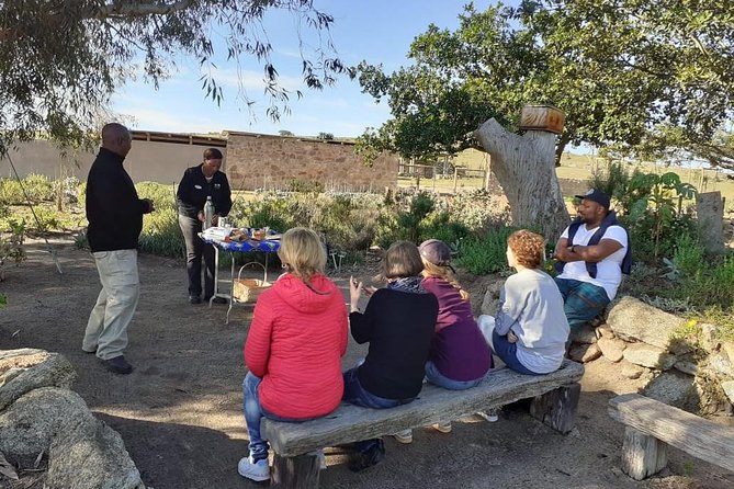 West Coast Day Trip from Cape Town - Timing, comfort, and who should book