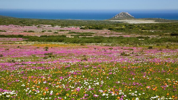West Coast Wonders Full Day Tour with Private Transfer - Why the West Coast deserves a full day