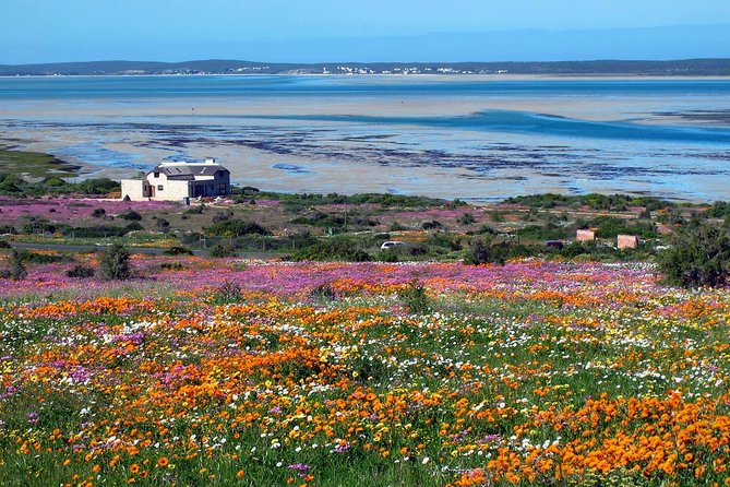 West Coast Wonders Full Day Tour with Private Transfer - Choosing between the Bakoor and Geelbek trails