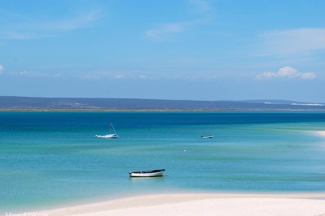 West Coast Wonders Full Day Tour with Private Transfer - Lunch at Geelbek or Langebaan