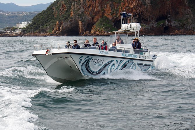 Whale Watching Knysna - Close Encounter Experience Ocean Odyssey - Comfort, motion, and what to bring