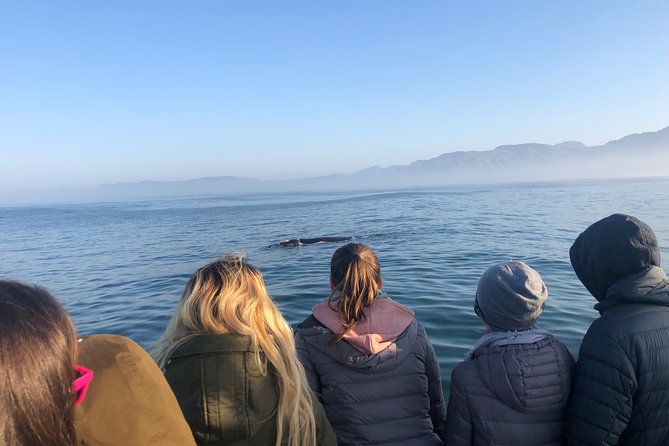 Whale Watching Tour in Hermanus with Hotel Pickup - Key points at a glance