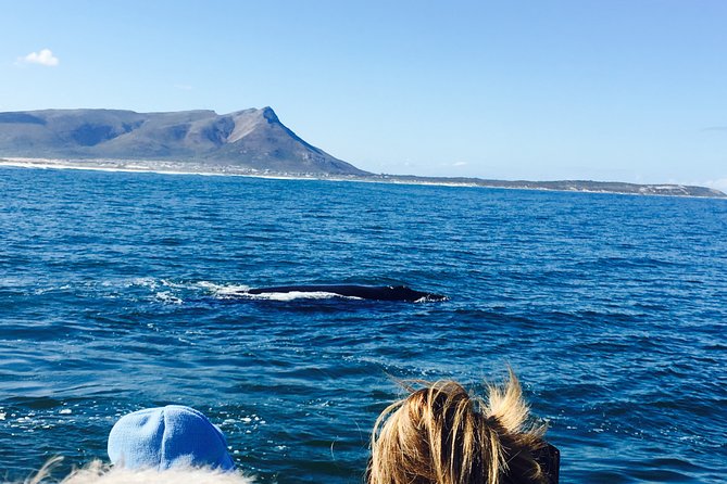Whale Watching Tour in Hermanus with Hotel Pickup - Why Hermanus is worth the drive from Cape Town