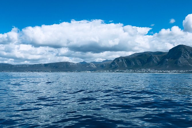 Whale Watching Tour in Hermanus with Hotel Pickup - Time to explore Hermanus and stop for lunch