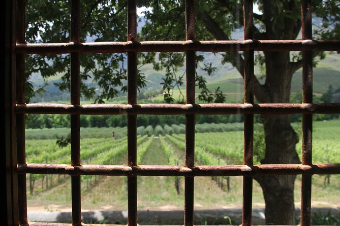 Wijntoer - Reserve tour with a winemaker! - What the private vehicle adds