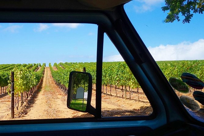 Wine Beer and Biltong Safari - Stellenbosch - The afternoon braai provides the main meal