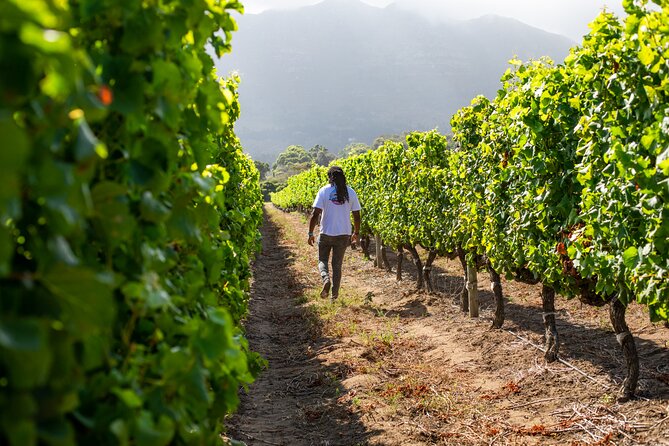 Wine Beer and Biltong Safari - Stellenbosch - Is this the right tour for you?