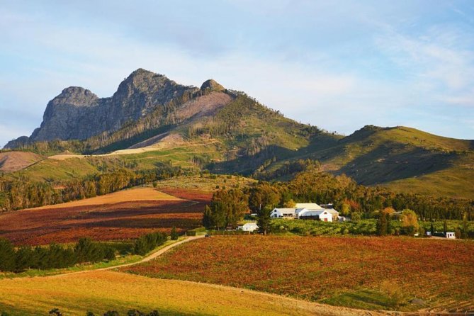 Wine Beer and Biltong Safari - Stellenbosch - Two micro breweries and a taste of local beer