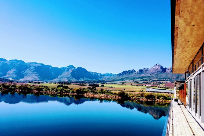 Wine tasting - Boutique farms - Food pairings, brunch, and the cost of a polished day