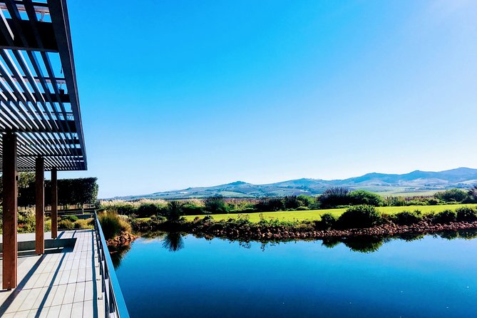 Wine tasting - Boutique farms - Guides who shape the mood