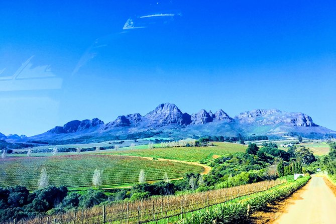 Wine tasting - Boutique farms - What works well for families and celebrations