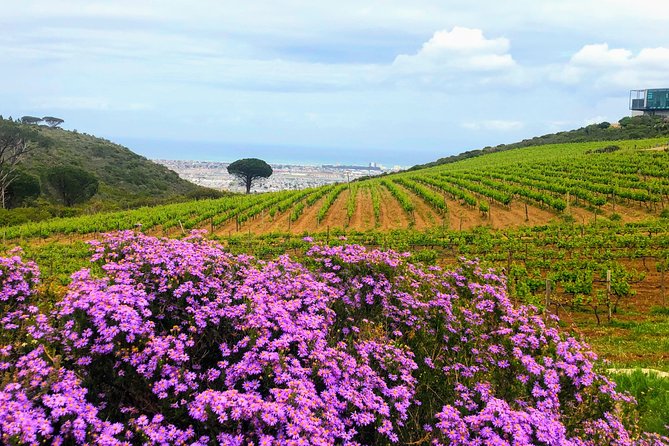 Wine tasting - Boutique farms - Practical details that affect your decision