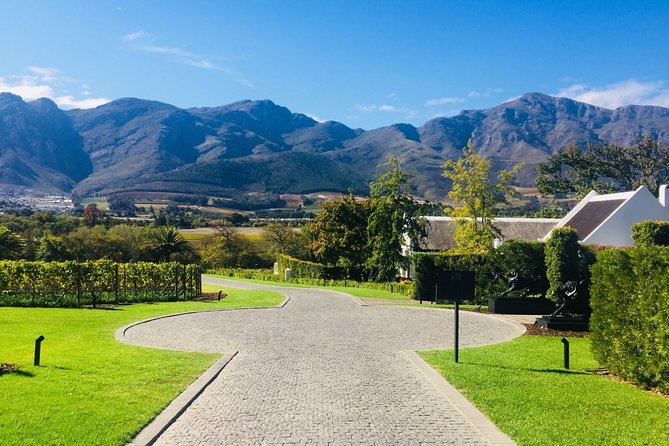 Wine tasting - Boutique farms - Starting at 9:00 am from Cape Town