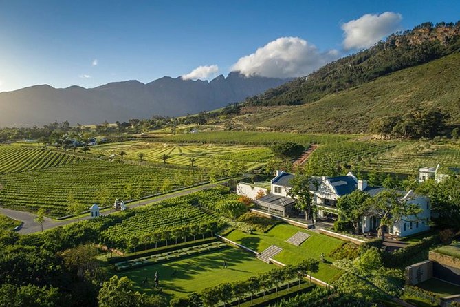 Wine Tasting, Cape Dutch Farm and Art Day Tour from Cape Town - The Stellenbosch drive and Muratie finish