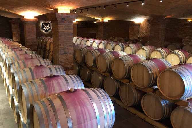 Wine Tasting, Cape Dutch Farm and Art Day Tour from Cape Town - Who should book this experience?