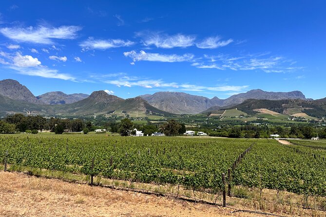 Wine Tasting in Cape's Top Three Winelands Private Tour - Why a private vehicle changes the day