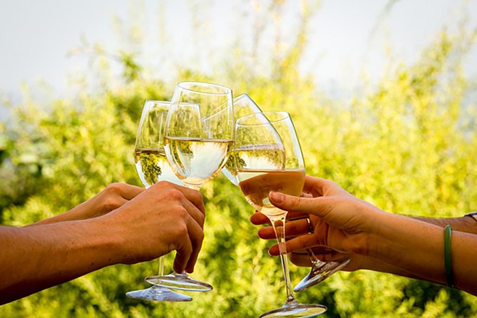 Wine Tour: Paarl, Franschhoek & Stellenbosch incl 3 wineries - Stellenbosch cellar tour and cheese pairing