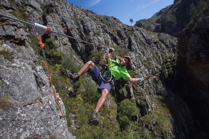 Zip Line and Wine from Cape Town - The cheetah encounter needs clarification