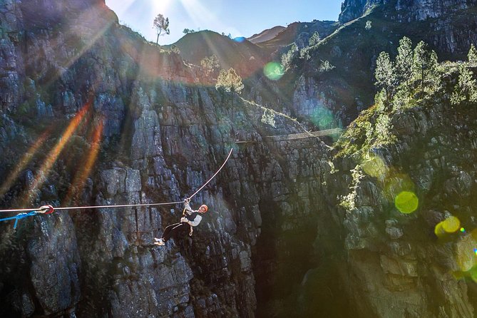 Zip Line and Wine from Cape Town - Who should book this Cape Town day trip?