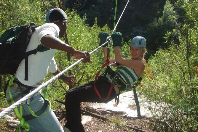 Ziplining Elgin - Who will enjoy this Cape Town area adventure?