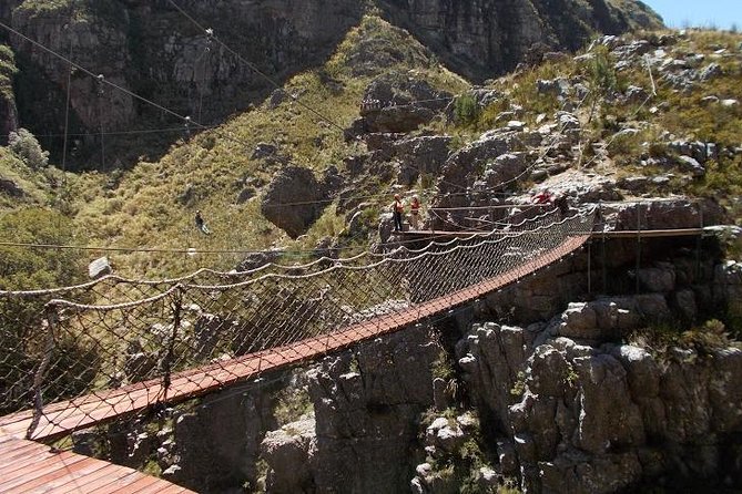 Ziplining Elgin - Eleven lines, thirteen platforms, and growing confidence