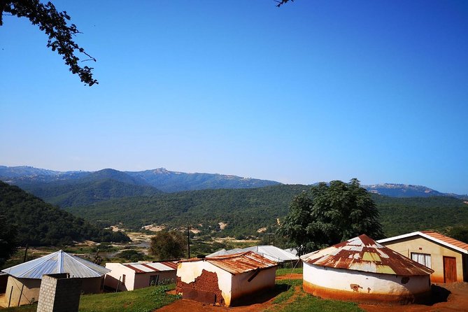 Zulu Cultural Experience: Zulu Village + Tribal Markets + Traditional Zulu Food - The Markets of Warwick and the Lime Gogos